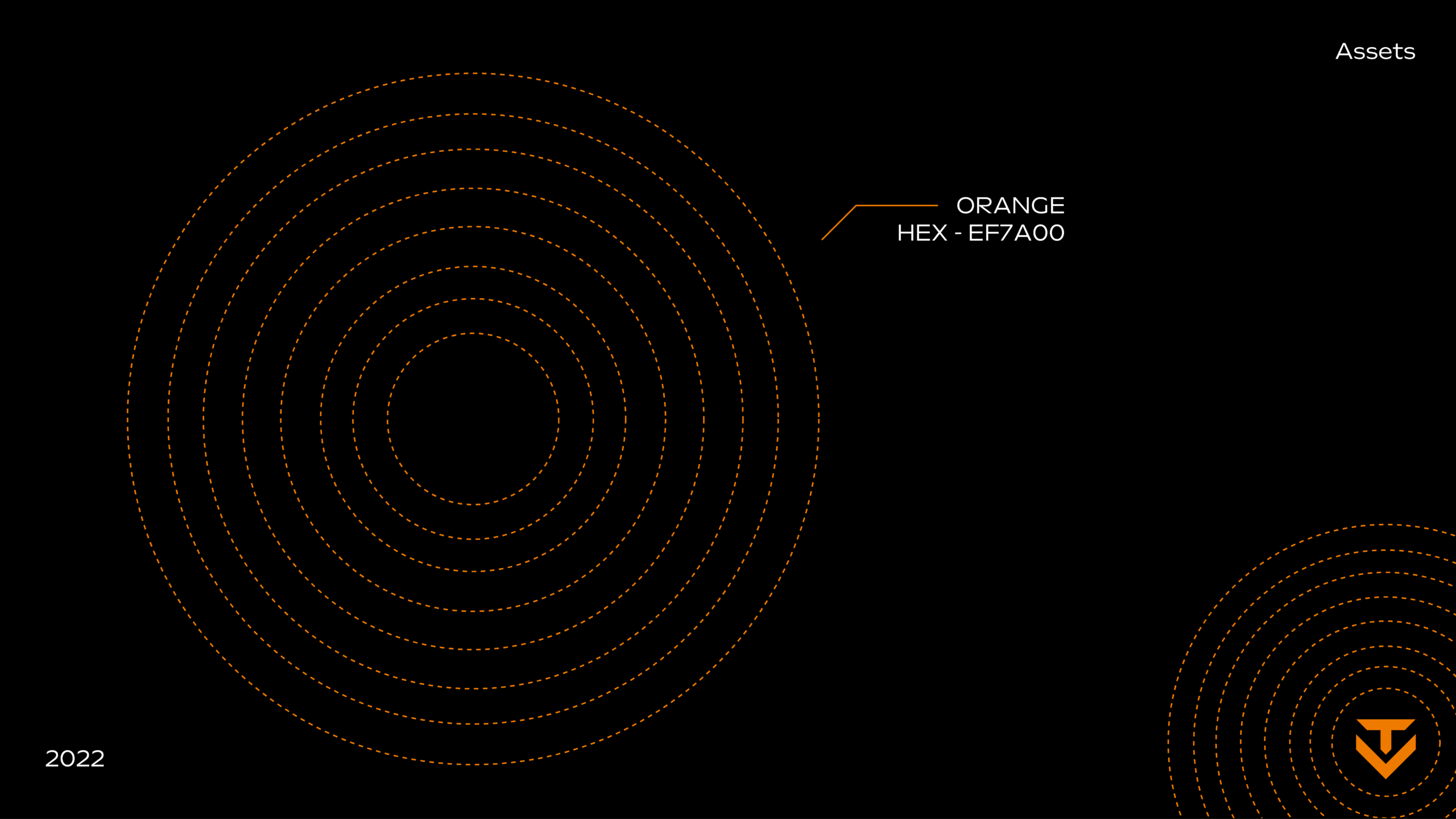 TERRAVISION BRAND GUIDELINES copy-12