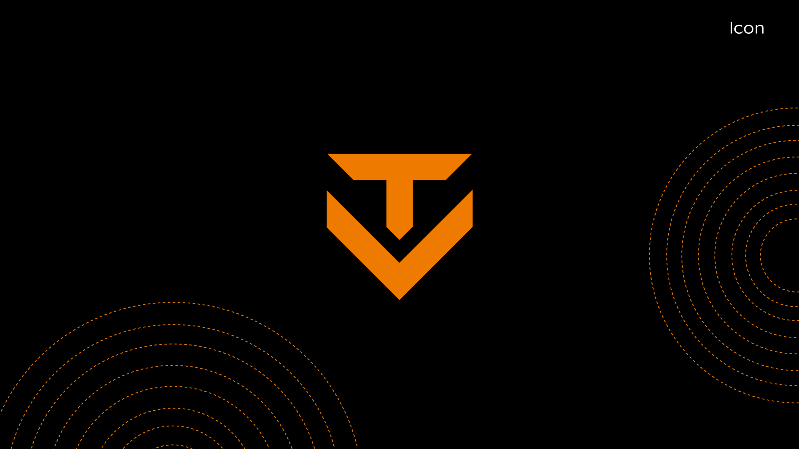 TERRAVISION BRAND GUIDELINES copy-16