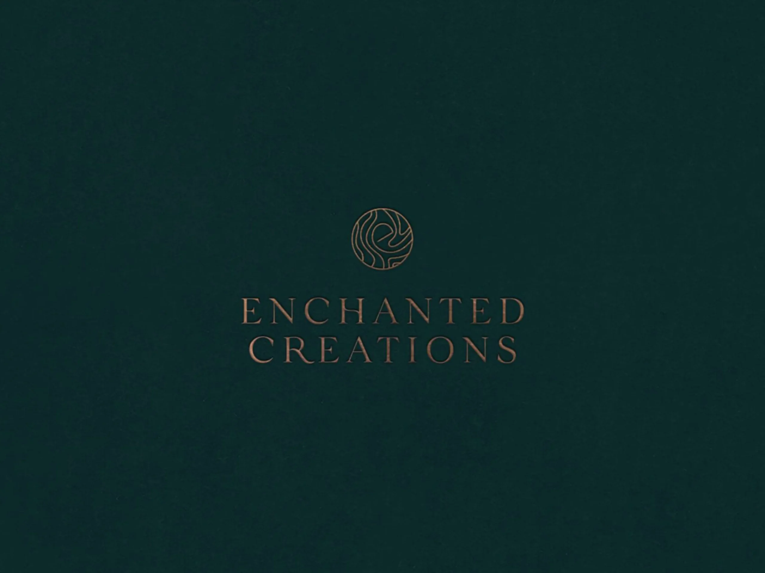 Our Work | Easy Avocado Cardiff