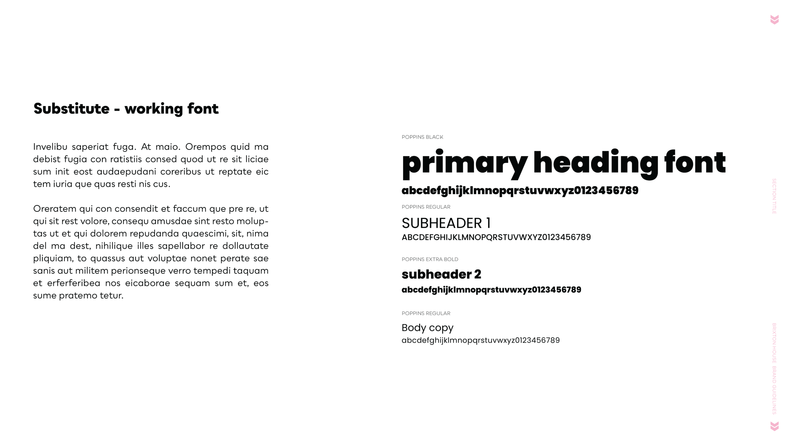 brixton house Brand Guide-21